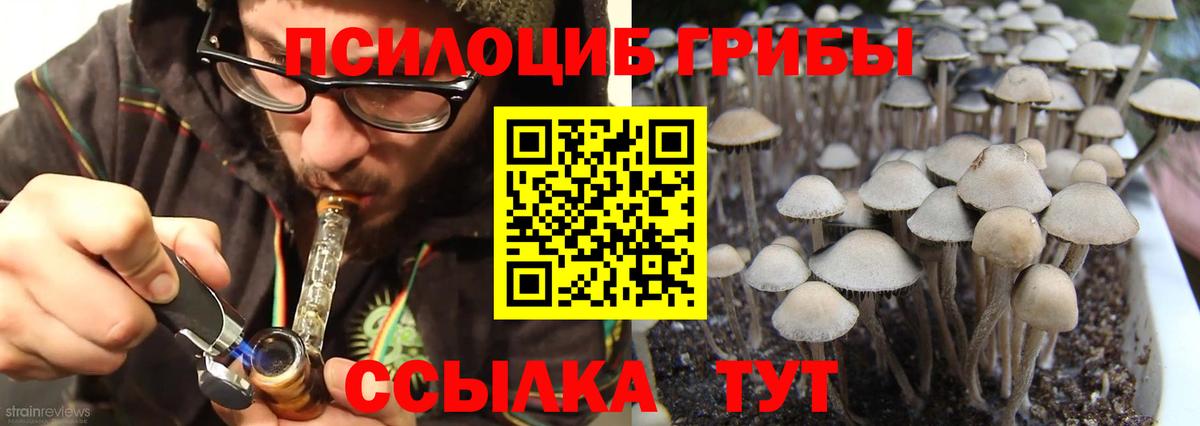 Галлюциногенные грибы мухоморы Екатеринбург