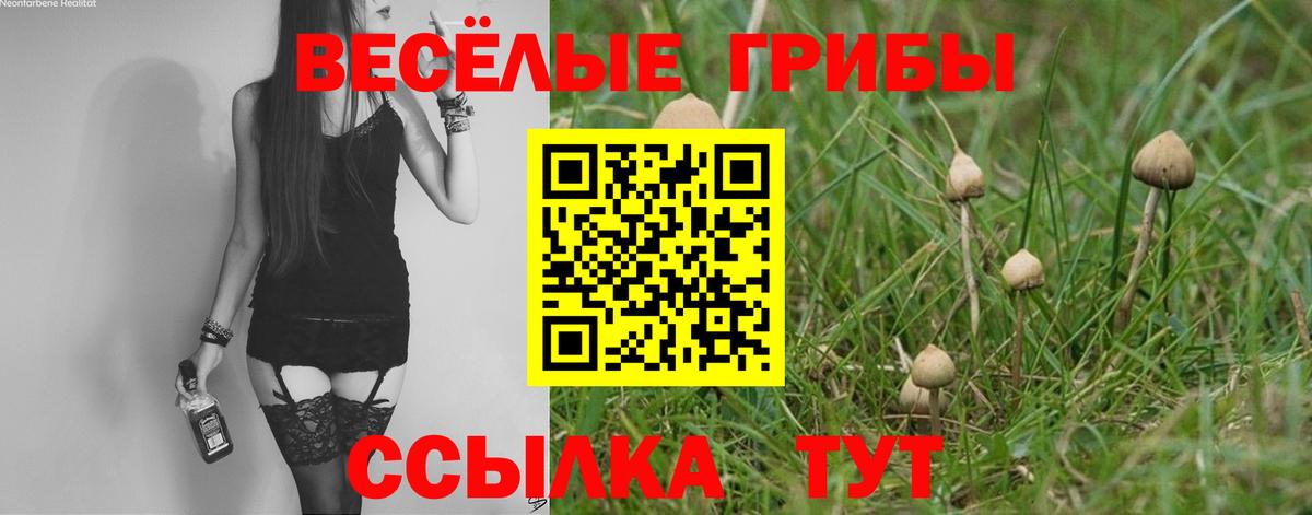 Галлюциногенные грибы Psilocybine cubensis  Галлюциногенные грибы мухоморы  Екатеринбург  Вход с VPN 